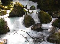 Albums/20060200-New Zealand 2006/20060210-Te Anau to Milford/30